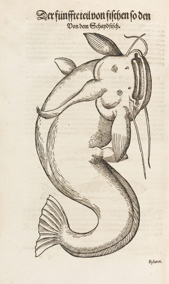 Conrad Gesner - Vogel-, Thier-, Fisch- und Schlangenbuch, 1575-89. - Autre image