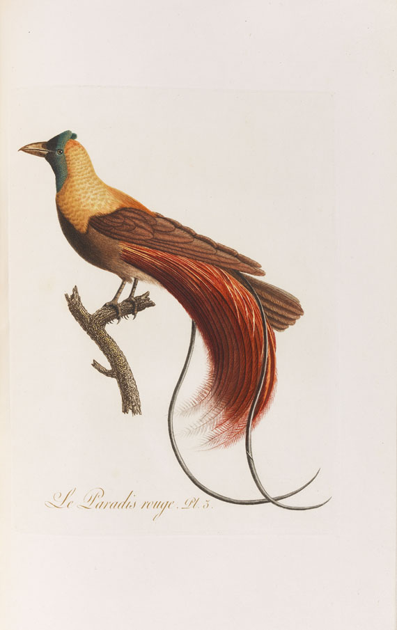 Jean Baptiste Audebert - Oiseaux dorés ou reflets métalliques. 1802. 2 Bde.. - Autre image