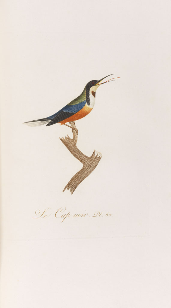 Jean Baptiste Audebert - Oiseaux dorés ou reflets métalliques. 1802. 2 Bde.. - Autre image