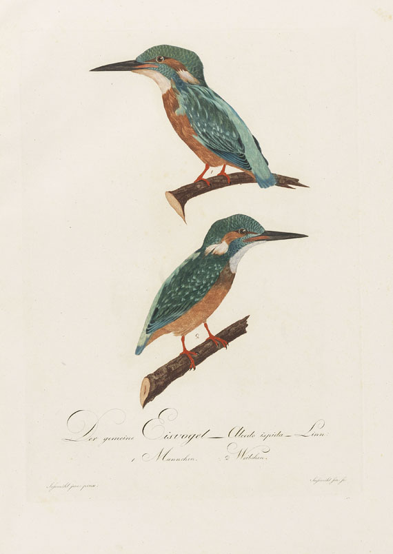Johann Conrad Susemihl - Teutsche Ornithologie. 1800-1817. 2 Bde.. - Autre image
