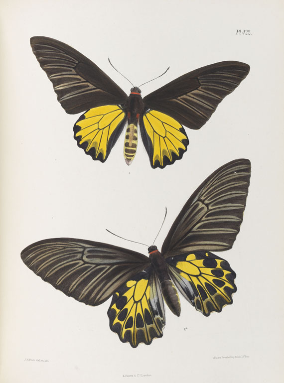 Frederic Moore - Lepidoptera Indica. 1890-1913. 10 Bde.. - Autre image
