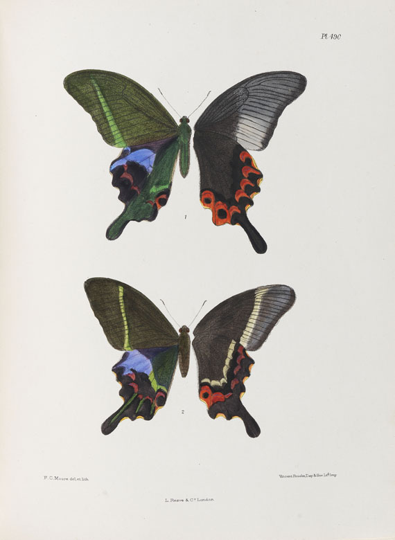 Frederic Moore - Lepidoptera Indica. 1890-1913. 10 Bde.. - Autre image