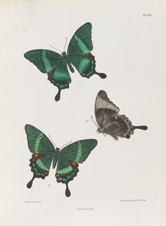 Frederic Moore - Lepidoptera Indica. 1890-1913. 10 Bde.. - Autre image