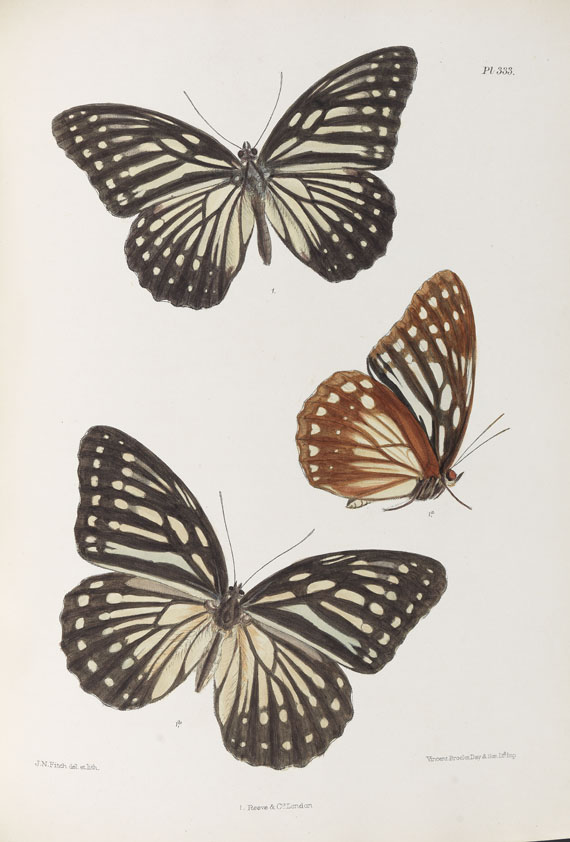 Frederic Moore - Lepidoptera Indica. 1890-1913. 10 Bde.. - Autre image