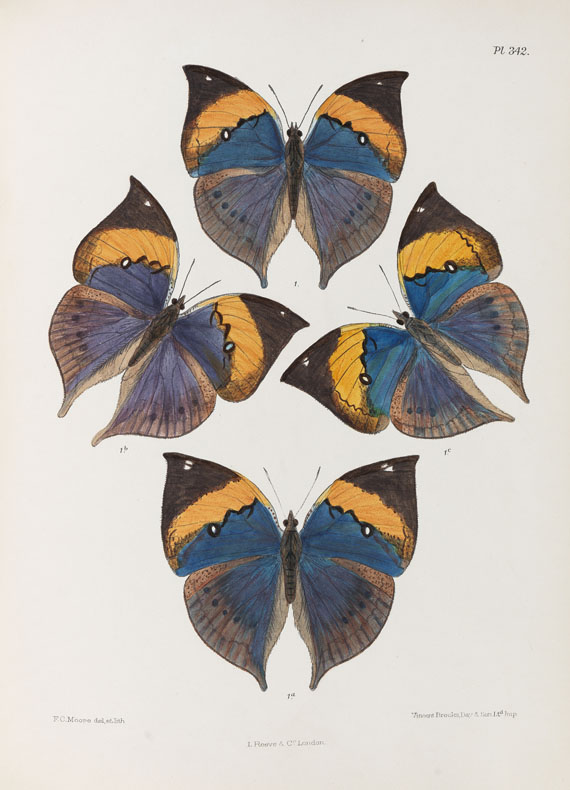 Frederic Moore - Lepidoptera Indica. 1890-1913. 10 Bde.. - Autre image