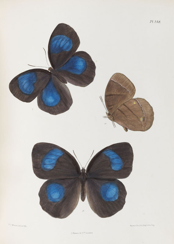 Frederic Moore - Lepidoptera Indica. 1890-1913. 10 Bde.. - Autre image