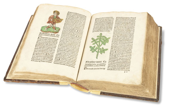  - Herbarius zu teütsch. 1502. - Autre image