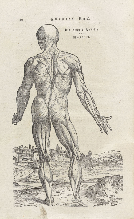   - Leveling, H., Anatomische Erklärung. 1783.