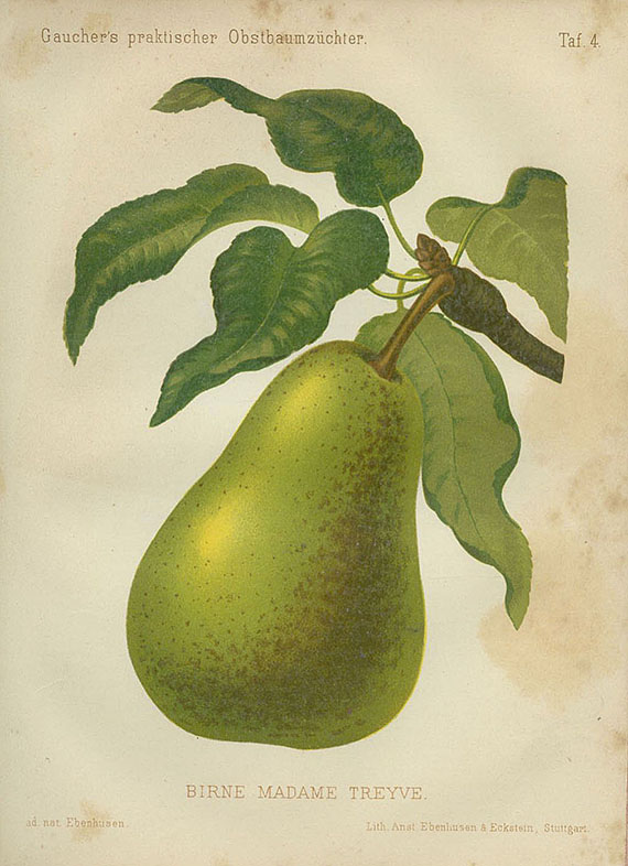 Nicolas Gaucher - Obstbaumzüchter, 3 Bde. + Maund, Botanic garden, 2 Bde. Zus. 5 Bde. 1825-1887.