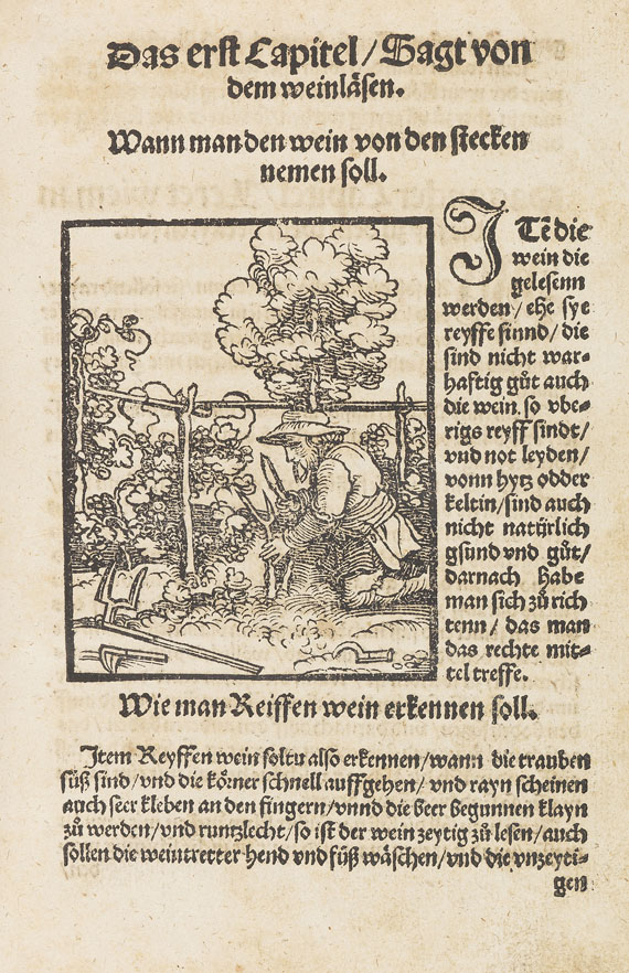   - Kellermaisterey. Augsburg 1536.. - Autre image