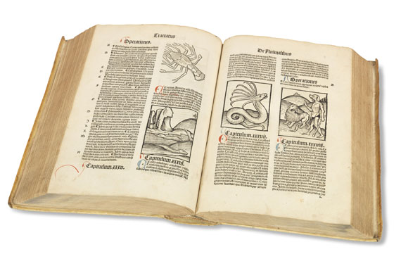   - Hortus sanitatis. 1497. - Autre image