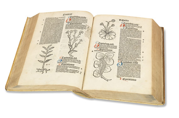   - Hortus sanitatis. 1497. - Autre image