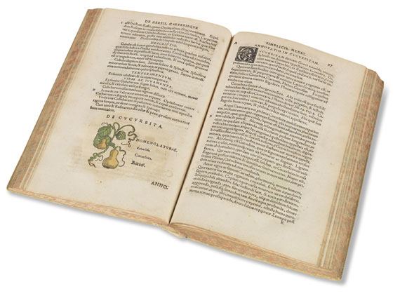 Theoderich Dorsten - Botanicon. 1540. - Autre image