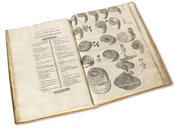 Hieronymus Fabricius ab Aquapendente - De formatione ovi. 1621. - Autre image