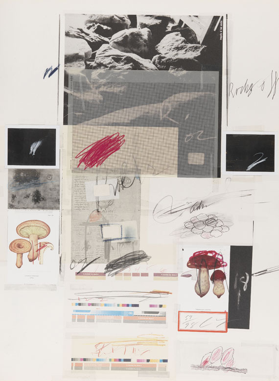 Cy Twombly - Natural History Part I, Mushrooms - Autre image