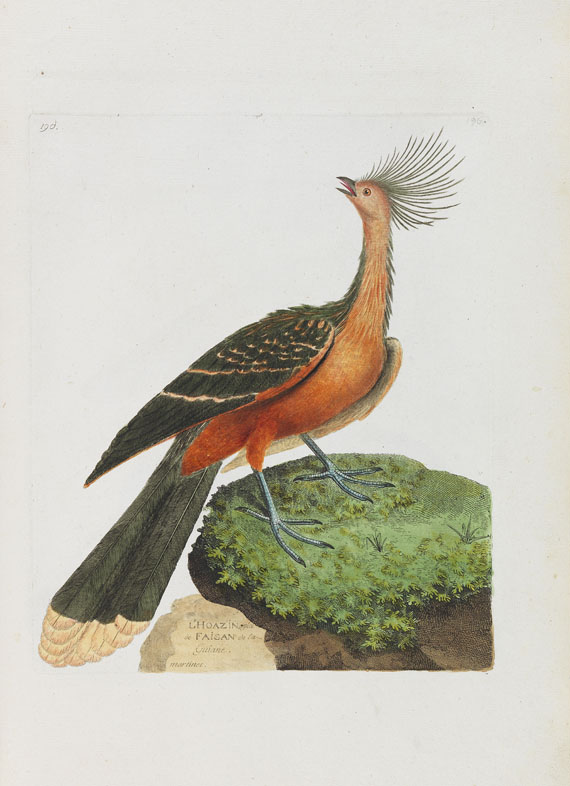 Francois Nicolas Martinet - Oiseaux. Um 1780-90. - Autre image