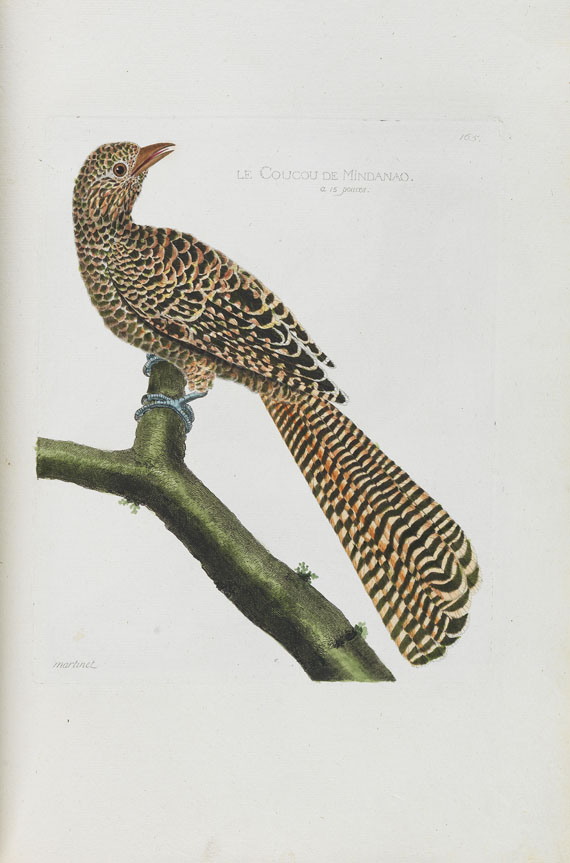 Francois Nicolas Martinet - Oiseaux. Um 1780-90. - Autre image