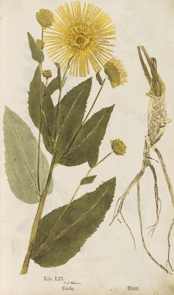 Christian Gottlieb Ludwig - Ectypa vegetabilium. 1760. - Autre image