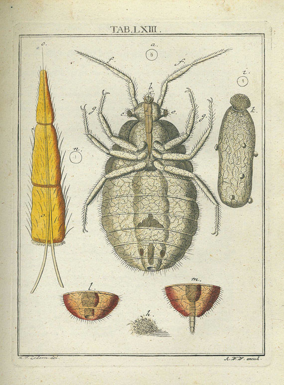 M. F. Ledermüller - Gemüths- und Augenergötzung. 2 Bde. 1760