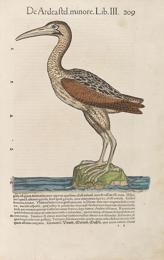 Conrad Gesner - Historiae animalium. 1555