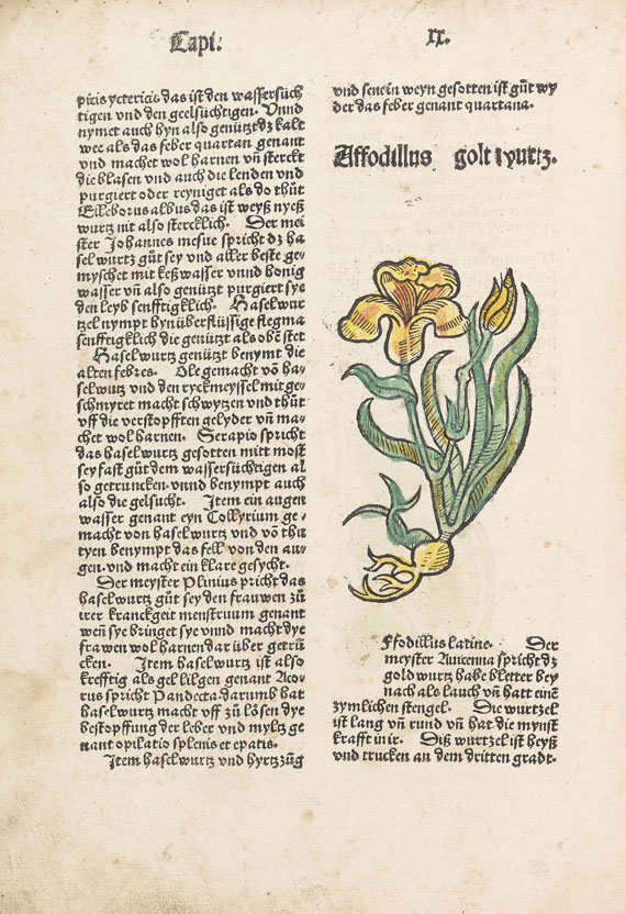 Gart der Gesundheit. - Gart der Gesundheit. 1489