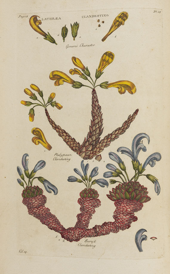 John Hill - Vegetable System. 13 Bde. 1775. - Autre image