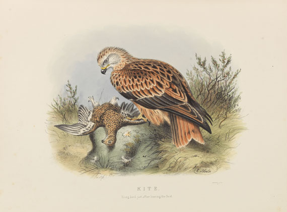 Edwin Carton Booth - Rough notes on the birds in the British Islands. 3 Bde. - Autre image