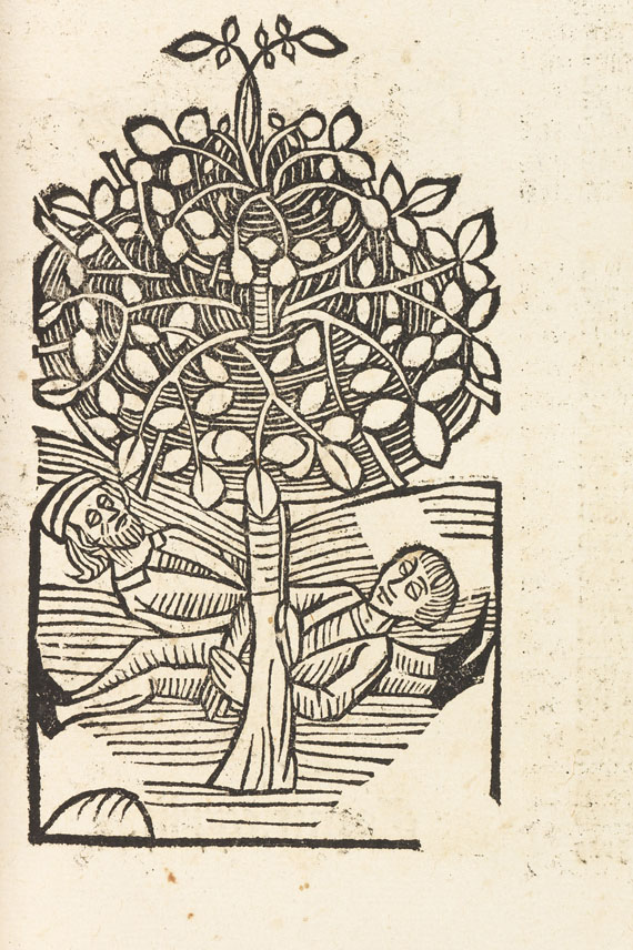   - Hortus Sanitatis 1517 - Autre image