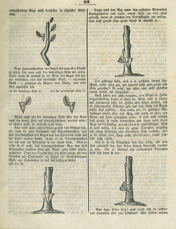 Vereinigte Frauendorfer Blätter - Fürst, Vereinigte Frauendorfer Blätter. 1844-76. 24 Bde.  - Dabei: Gaucher