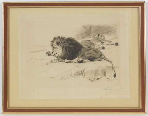 Wilhelm Kuhnert - 3 Bll.: Ruhende Löwen. Afrikanisches Nashorn. Elch - Image du cadre