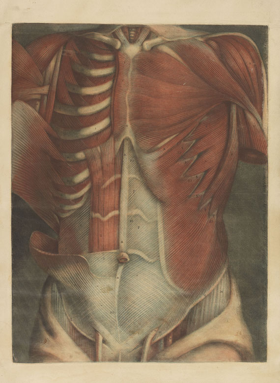 Jacques Gautier Dagoty - Myologie complette en couleur. 2 Bde. - Autre image