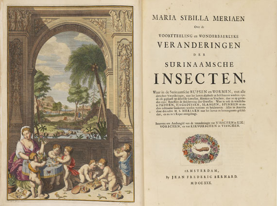 Maria Sibylla Merian - Surinaamsche Insecten. Amsterdam 1730 - Autre image