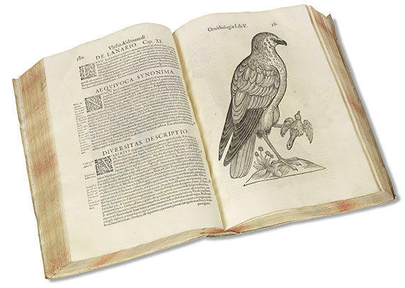 Ulisse Aldrovandi - Ornithologiae. 1599 - Autre image