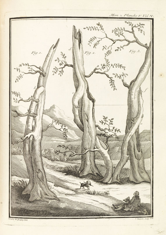 Jean-Etienne Guettard - Memoires sur différentes parties des sciences et arts. 5 Bde. 1768 - Autre image