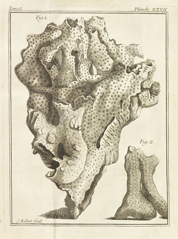 Jean-Etienne Guettard - Memoires sur différentes parties des sciences et arts. 5 Bde. 1768