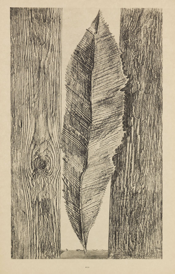 Max Ernst - Histoire naturelle - Autre image