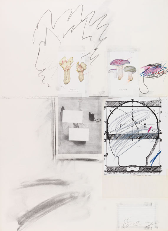 Cy Twombly - Natural History Part I, Mushrooms - Autre image