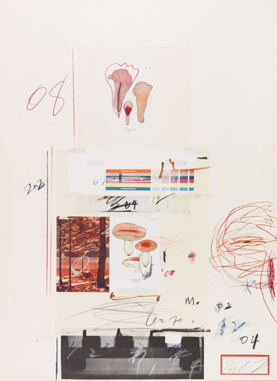 Cy Twombly - Natural History Part I, Mushrooms - Autre image