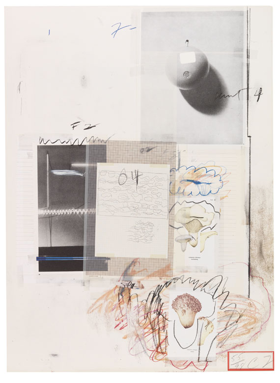 Cy Twombly - Natural History Part I, Mushrooms - Autre image
