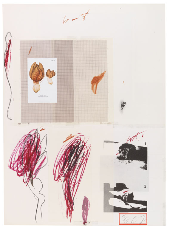 Cy Twombly - Natural History Part I, Mushrooms - Autre image