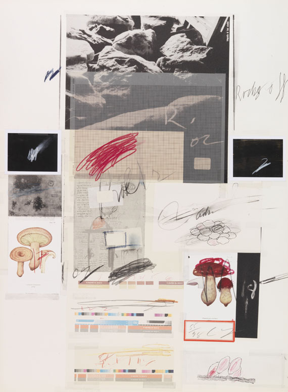 Cy Twombly - Natural History Part I, Mushrooms - Autre image