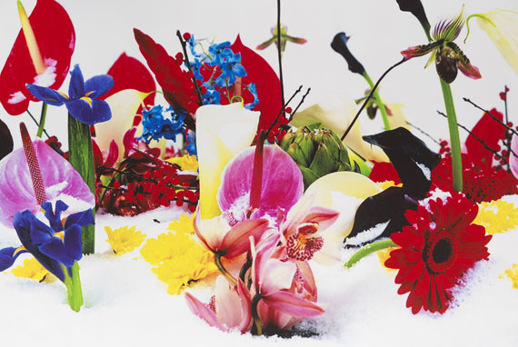 Marc Quinn - Winter Garden - Autre image