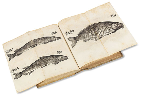   - Bairische Lanndtsordnung. 1553. - Angeb.: Meurer, Jagd- und Forstrecht. 1576. 2 Werke in 1 Bd. - Autre image