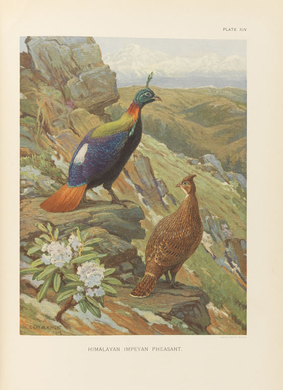 William Beebe - A monograph of the pheasants. 4 Bde. - Autre image