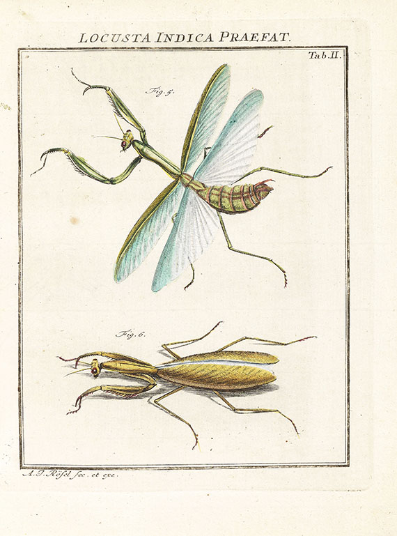 August Johann Rösel von Rosenhof - Insecten-Belustigung, 4 Bde., dazu Kleemann, Beyträge zur Naturgeschichte, 2 Bde. in 1, zusammen 5 Bde. - Autre image