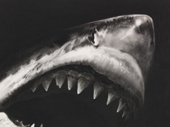 Robert Longo - Untitled (Shark 15) - Autre image