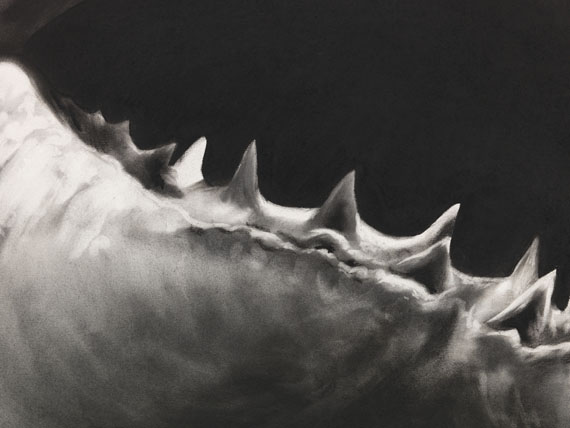 Robert Longo - Untitled (Shark 15) - Autre image