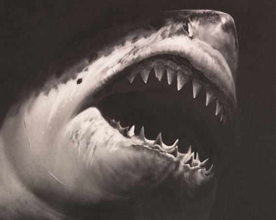 Robert Longo - Untitled (Shark 15) - Autre image