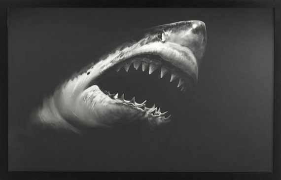 Robert Longo - Untitled (Shark 15) - Image du cadre