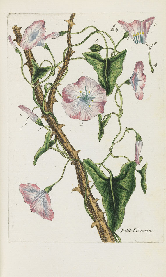 Pierre Bulliard - Flora Parisiensis. 6 Bände - Autre image